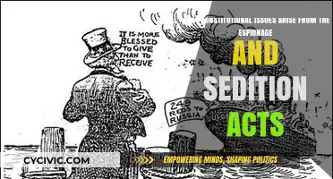 Espionage and Sedition Acts: Constitutional Freedoms at Stake?