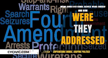 Constitutional Issues: Addressing the Unaddressed