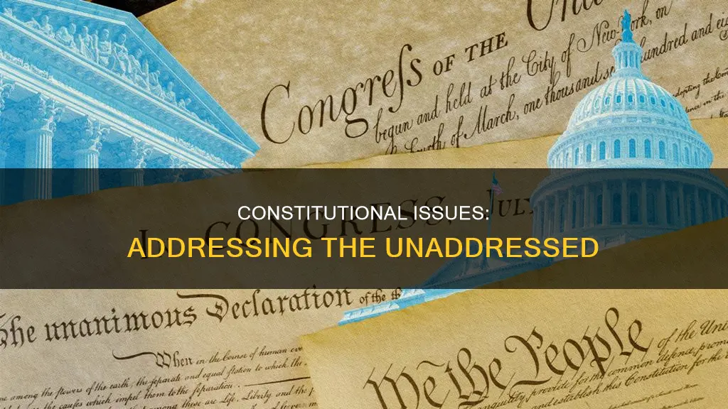 what constitutional issues were raised and how were they addressed