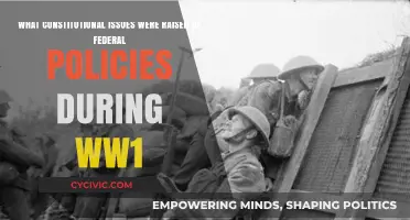 Federal Policies During WW1: Constitutional Issues