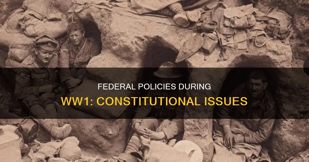 what constitutional issues were raised by federal policies during ww1
