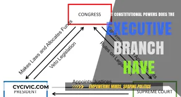 Executive Branch: Constitutional Powers Explained
