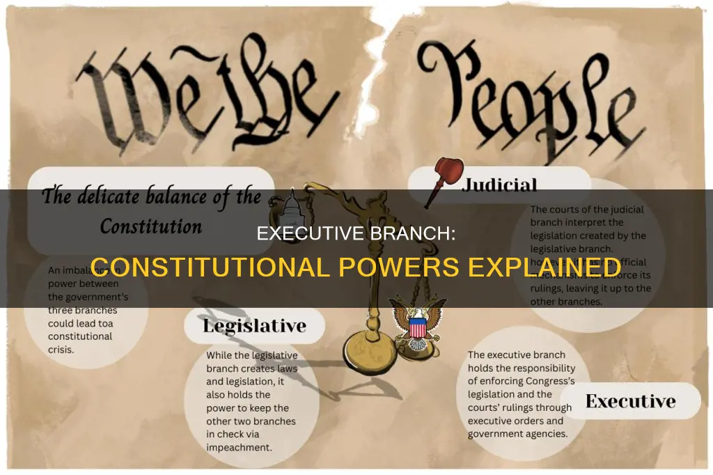 what constitutional powers does the executive branch have