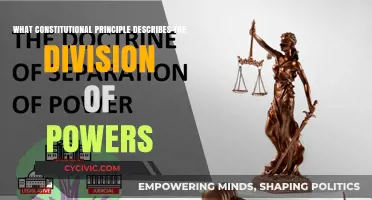 Federalism: Sharing Powers, Shaping America