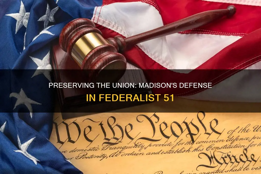 what constitutional principle did madison defend in federalist number 51