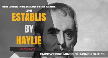 The Supreme Court's Constitutional Principle: A Historical Decision