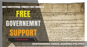 Friends of Free Government: Upholding Constitutional Principles