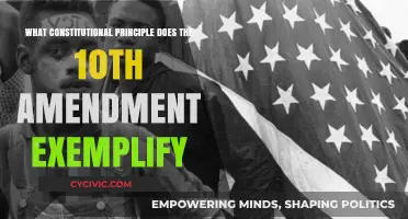 The Tenth Amendment: States' Rights and Limited Federal Power