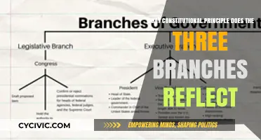 Branches of Power: Constitutional Principles
