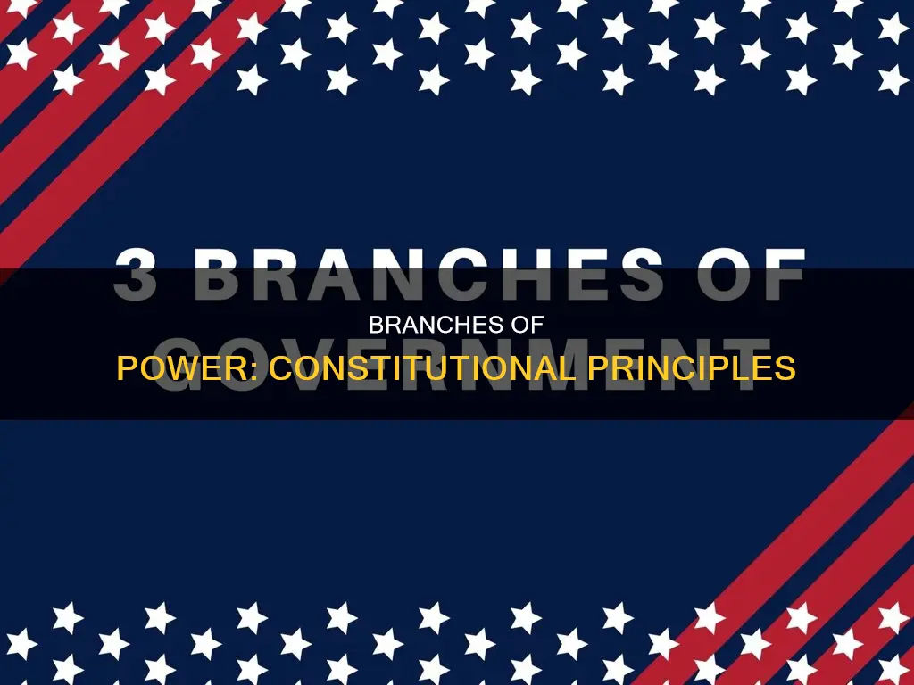 what constitutional principle does the three branches reflect