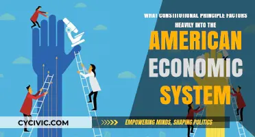 The Economic Impact of Constitutional Principles