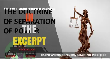 Constitutional Principles: Excerpt Analysis