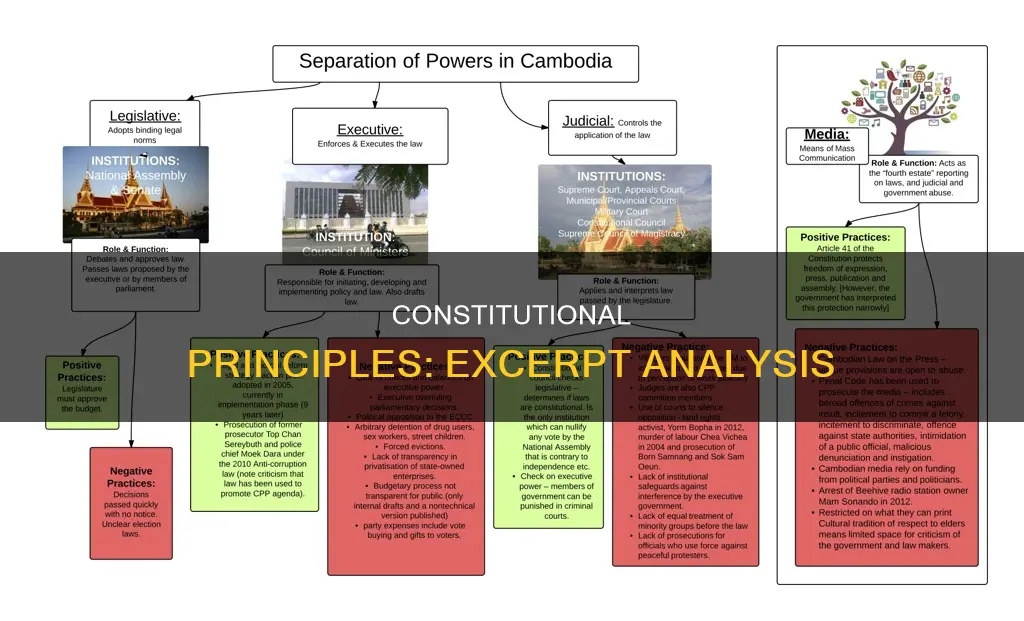 what constitutional principle is exemplified in the excerpt