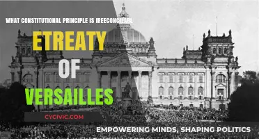 The Treaty of Versailles: A Constitutional Conundrum