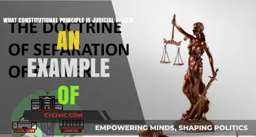 Judicial Review: Interpreting the Constitution