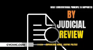 Judicial Review: Upholding the Constitution's Principles and Values