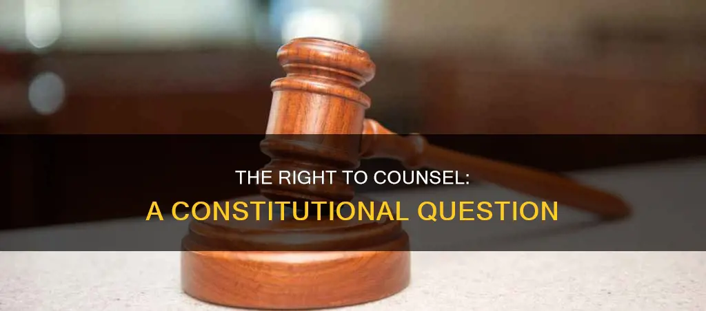 what constitutional principle was in question in in re gault