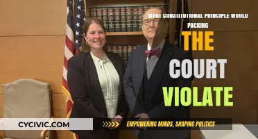 Court Packing: Constitutional Principle Violation?