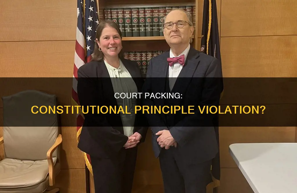 what constitutional principle would packing the court violate