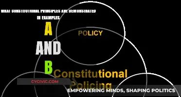 Examples A & B: Constitutional Principles in Action