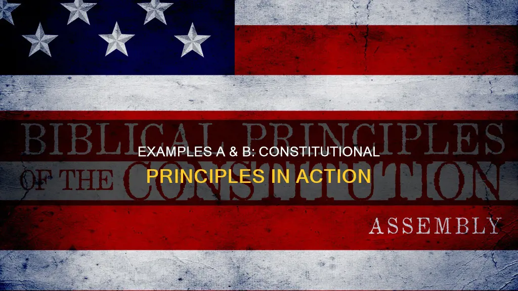 what constitutional principles are demonstrated in examples a and b