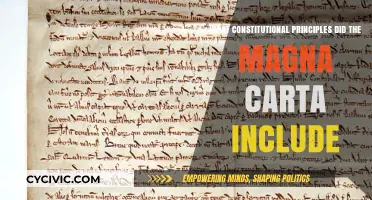 The Magna Carta's Constitutional Principles