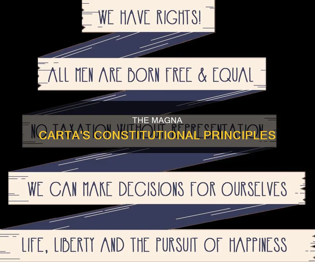 what constitutional principles did the magna carta include