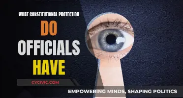 Officials' Constitutional Safeguards: Understanding Their Legal Protections