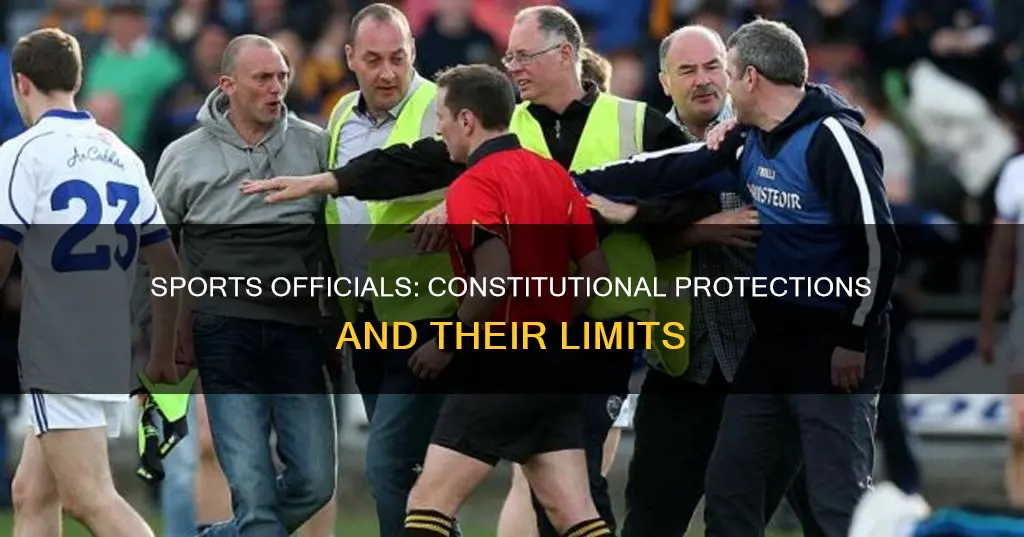 what constitutional protection do sports officials have