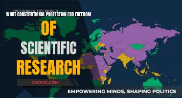 Scientific Research: Freedom and Constitutional Safeguards