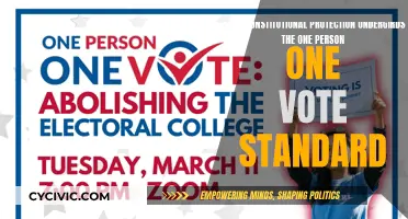 One Person, One Vote: Constitutional Safeguards for Voting Equality