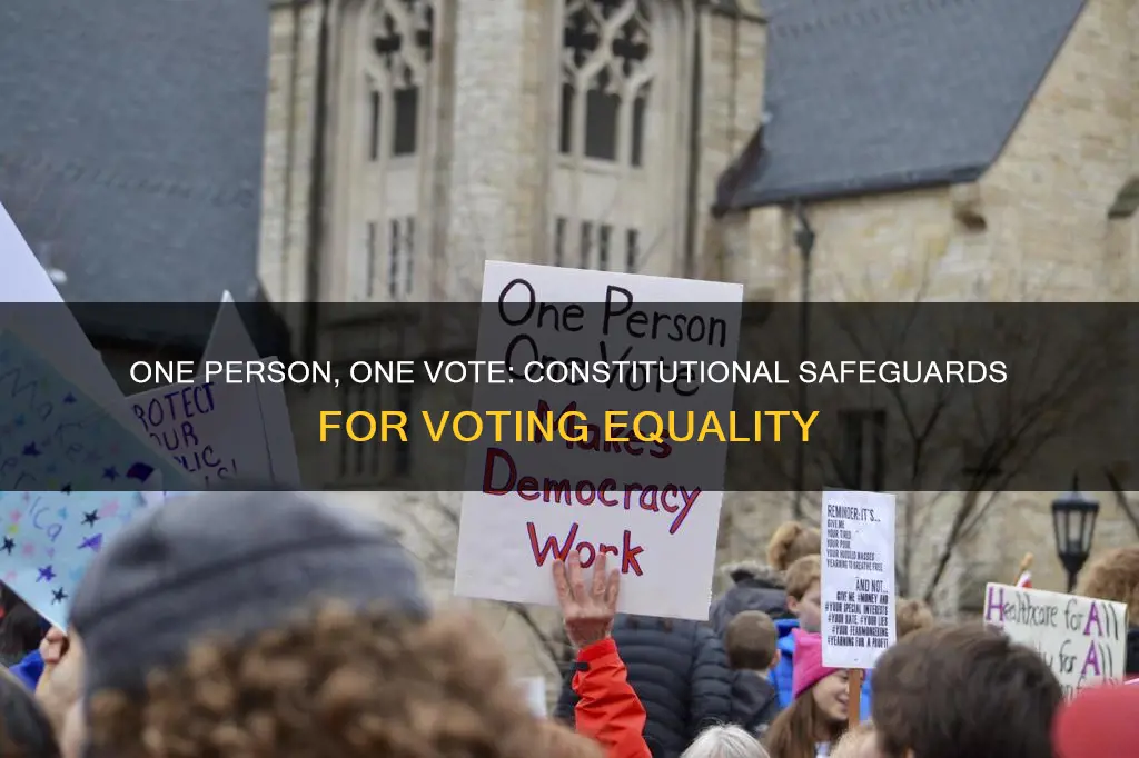 what constitutional protection undergirds the one person one vote standard
