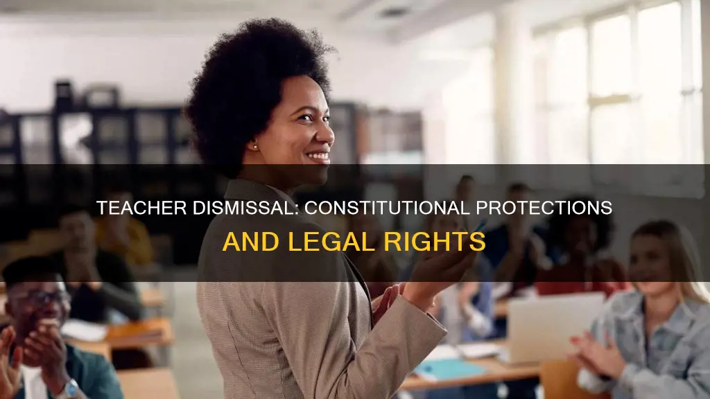 what constitutional protections apply in teacher dismissal cases