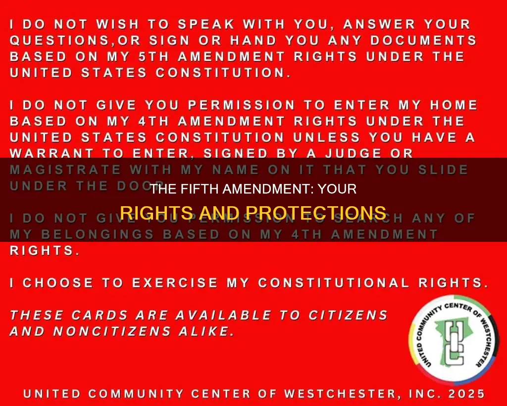 what constitutional protections are in the 5th amendment