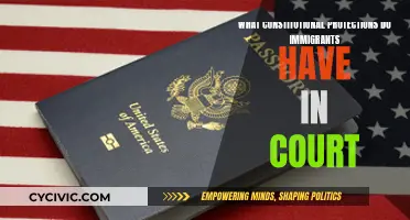 Immigrants' Court Rights: Understanding Constitutional Protections