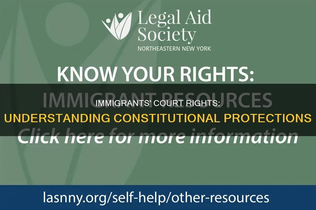 what constitutional protections do immigrants have in court