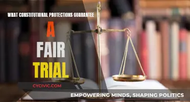 The Constitution's Promise: Fair Trial Protections and You