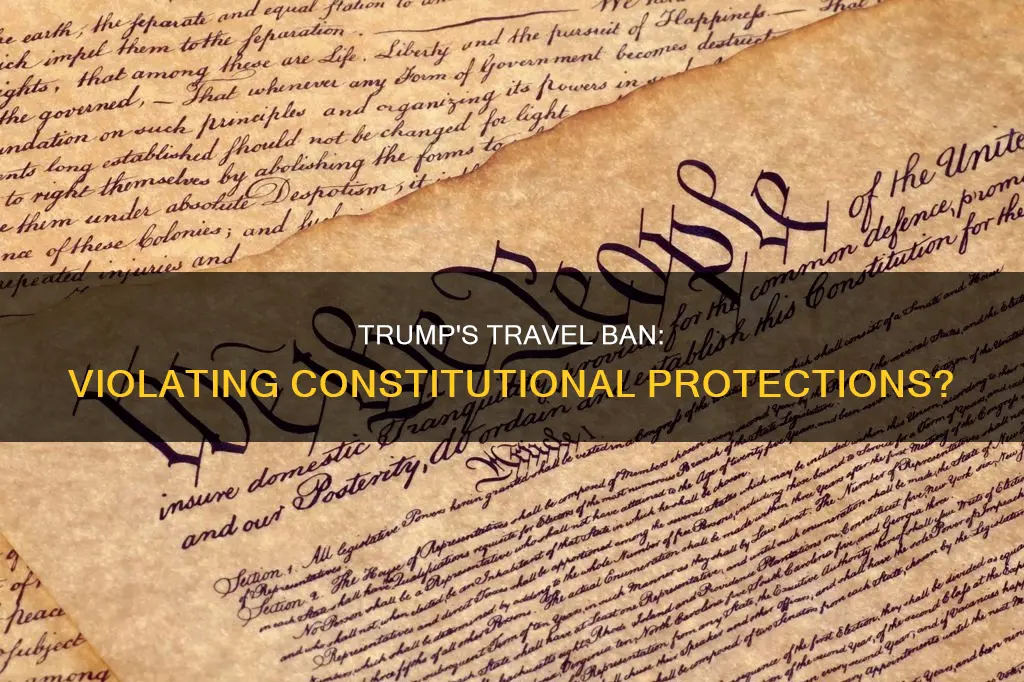 what constitutional protections were violated by trump travel ban