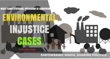 Environmental Injustice: Constitutional Rights Violated