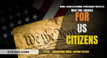 Civil Liberties: The Constitution's Safeguards for US Citizens
