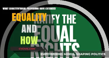 Equality Provisions: Constitutional Amendments for Social Justice