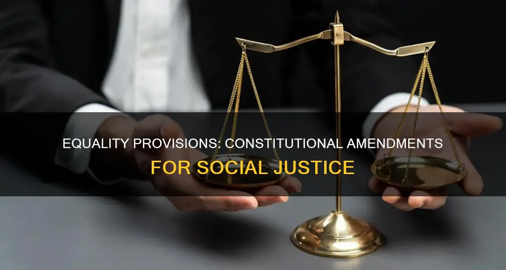 what constitutional provisions have extended equality and how