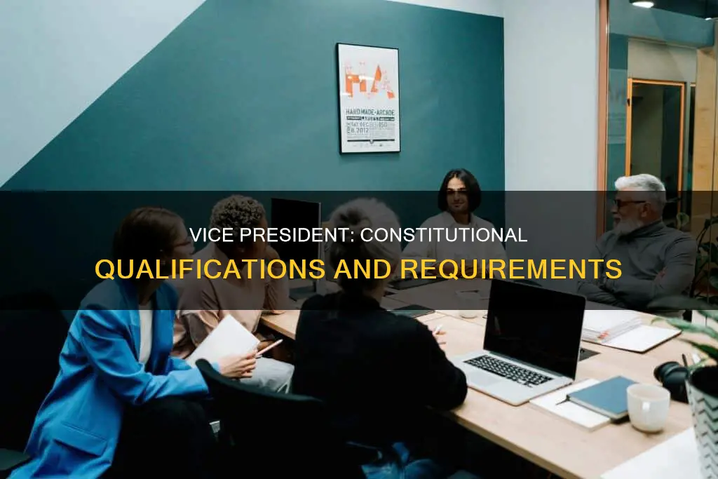what constitutional qualifications must the vice preident meet