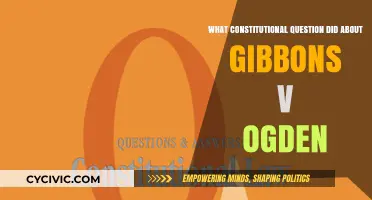 Gibbons v. Ogden: Commerce Clause and Federal Power