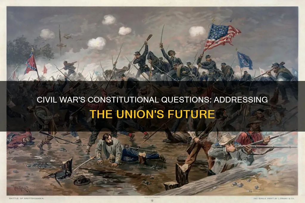 what constitutional questions were addressed in the civil war