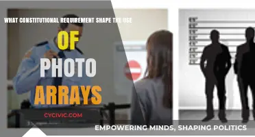 Photo Arrays: Constitutional Requirements and Their Impact