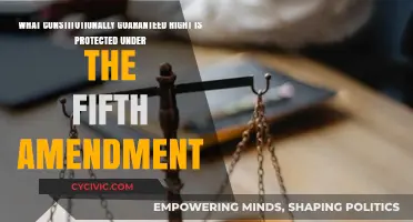 The Fifth Amendment: Protecting Your Right to Remain Silent