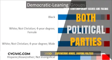 Contemporary Challenges: Uniting and Dividing Today's Political Parties
