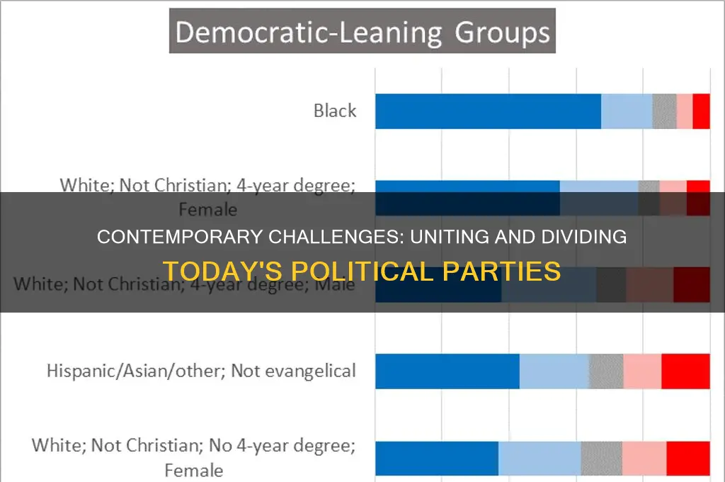 what contemporary issues are facing both political parties