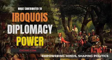 Iroquois Diplomacy Power: A Historical Perspective
